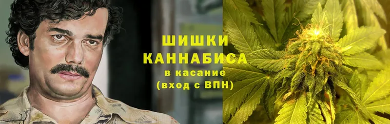 Марихуана Amnesia  площадка телеграм  Княгинино 